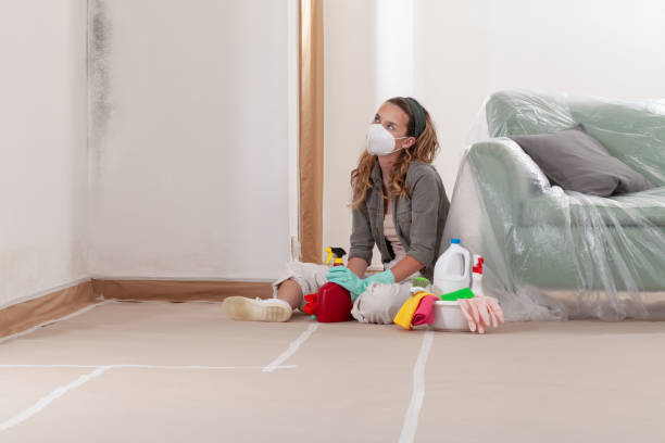 Reliable Mold Cleanup contractor in Chester, MD by WQB Mold Removal